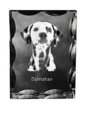 Artdog dalmatinec, dalmatinec - kristal s fotografijo psa, stekleni kipec s fotografijo, unikaten okvir s fotografijo Art-Dog