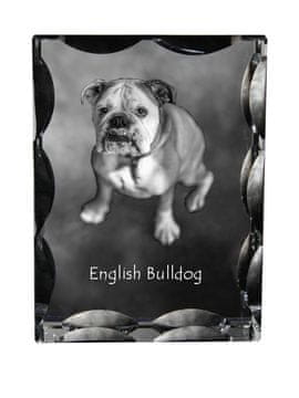 Artdog Angleški buldog, Bulldog - kristal s fotografijo psa, stekleni kipec s fotografijo, unikaten okvir s fotografijo Art-Dog