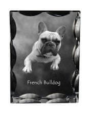 Artdog Francoski buldog - kristal s fotografijo psa, stekleni kipec s fotografijo, unikaten okvir s fotografijo Art-Dog