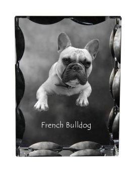 Artdog Francoski buldog - kristal s fotografijo psa, stekleni kipec s fotografijo, unikaten okvir s fotografijo Art-Dog