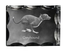 Artdog Greyhound, angleški hrt - kristal s fotografijo psa, stekleni kipec s fotografijo, unikaten okvir s fotografijo Art-Dog