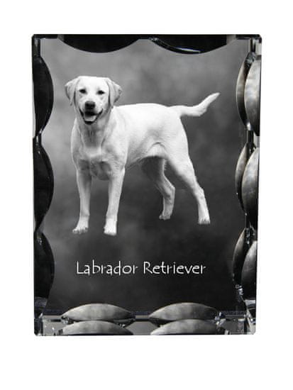 Artdog Labradorec I - kristal s fotografijo psa, stekleni kipec s fotografijo, unikaten okvir s fotografijo Art-Dog