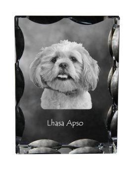 Artdog Lhasa Apso - kristal s fotografijo psa, stekleni kipec s fotografijo, unikaten okvir s fotografijo Art-Dog
