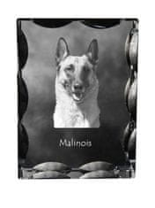 Artdog Belgijski ovčar Malinois - kristal s fotografijo psa, stekleni kipec s fotografijo, unikaten okvir s fotografijo Art-Dog