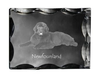 Artdog Newfoundland, Newfoundland, Wodołaz - kristal s fotografijo psa, stekleni kipec s fotografijo, unikaten okvir s fotografijo Art-Dog