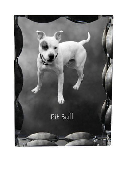 Artdog Ameriški Pit Bull Terrier, Pit Bull, Ameriški Pit Bull Terrier, Pitbull, APBT - kristal s fotografijo psa, steklen kipec s fotografijo, unikaten okvir s fotografijo Art-Dog
