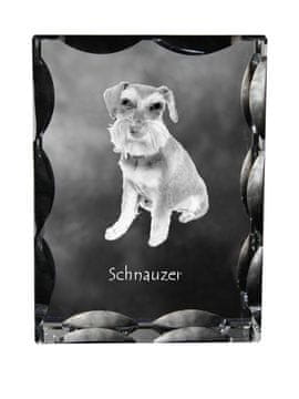 Artdog Šnavcer, Šnavcer - kristal s fotografijo psa, stekleni kipec s fotografijo, unikaten okvir s fotografijo Art-Dog