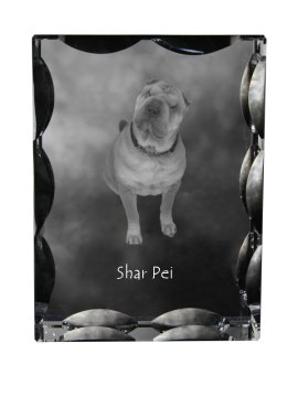 Artdog Shar Pei - kristal s fotografijo psa, stekleni kipec s fotografijo, unikaten okvir s fotografijo Art-Dog