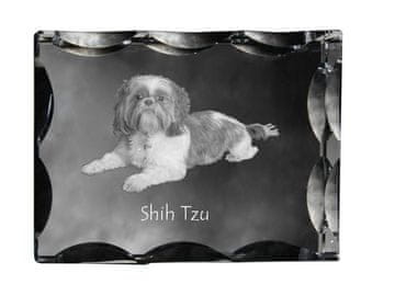 Artdog Shih Tzu, Shi tsu, Shi-Tzu, Szi-cu, Szitzu - kristal s fotografijo psa, stekleni kipec s fotografijo, unikaten okvir s fotografijo Art-Dog