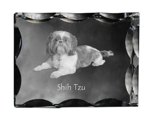 Artdog Shih Tzu, Shi tsu, Shi-Tzu, Szi-cu, Szitzu - kristal s fotografijo psa, stekleni kipec s fotografijo, unikaten okvir s fotografijo Art-Dog