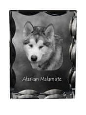 Artdog Aljaški malamut - kristal s fotografijo psa, stekleni kipec s fotografijo, unikaten okvir s fotografijo Art-Dog