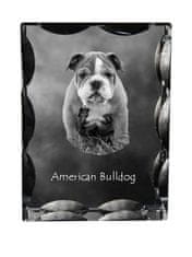 Artdog Ameriški buldog - kristal s fotografijo psa, stekleni kipec s fotografijo, unikaten okvir s fotografijo Art-Dog