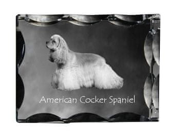 Artdog Ameriški koker španjel - kristal s fotografijo psa, stekleni kipec s fotografijo, unikaten okvir s fotografijo Art-Dog