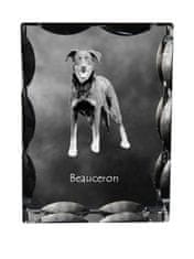 Artdog Francoski ovčar Beauceron - kristal s fotografijo psa, stekleni kipec s fotografijo, unikaten okvir s fotografijo Art-Dog