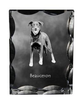 Artdog Francoski ovčar Beauceron - kristal s fotografijo psa, stekleni kipec s fotografijo, unikaten okvir s fotografijo Art-Dog