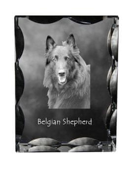 Artdog Belgijski ovčar, belgijski planšarski pes - kristal s fotografijo psa, stekleni kipec s fotografijo, unikaten okvir s fotografijo Art-Dog
