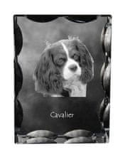 Artdog Cavalier King Charles Spaniel - kristal s fotografijo psa, stekleni kipec s fotografijo, unikaten okvir s fotografijo Art-Dog