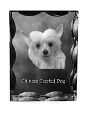Artdog Kitajski čopasti pes - kristal s fotografijo psa, stekleni kipec s fotografijo, unikaten okvir s fotografijo Art-Dog