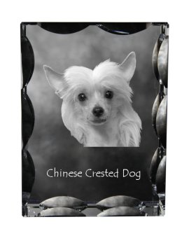 Artdog Kitajski čopasti pes - kristal s fotografijo psa, stekleni kipec s fotografijo, unikaten okvir s fotografijo Art-Dog