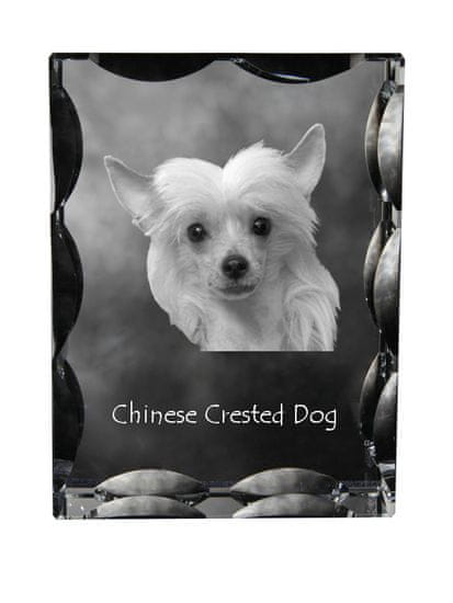 Artdog Kitajski čopasti pes - kristal s fotografijo psa, stekleni kipec s fotografijo, unikaten okvir s fotografijo Art-Dog