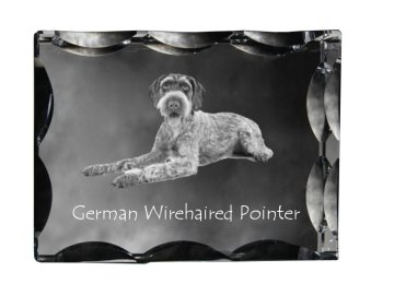 Artdog Nemški oštrodlaki ptičar, Drahthaar - kristal s fotografijo psa, stekleni kipec s fotografijo, unikaten okvir s fotografijo Art-Dog