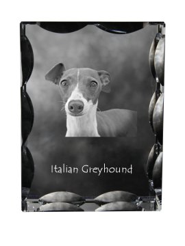 Artdog Italijanski hrt, italijanski hrt - kristal s fotografijo psa, stekleni kipec s fotografijo, unikaten okvir s fotografijo Art-Dog