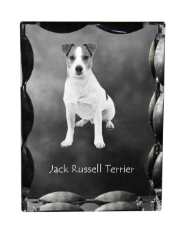 Artdog Jack Russell terier - kristal s fotografijo psa, stekleni kipec s fotografijo, unikaten okvir s fotografijo Art-Dog