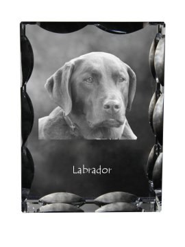 Artdog Labradorec - kristal s fotografijo psa, stekleni kipec s fotografijo, unikaten okvir s fotografijo Art-Dog