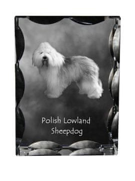Artdog Poljski nižinski ovčar, PON - kristal s fotografijo psa, stekleni kipec s fotografijo, unikaten okvir s fotografijo Art-Dog