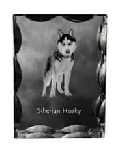 Artdog Sibirski haski, Sibirski haski - kristal s fotografijo psa, stekleni kipec s fotografijo, unikaten okvir s fotografijo Art-Dog