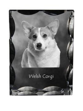Artdog Pembroke Welsh Corgi - kristal s fotografijo psa, stekleni kipec s fotografijo, unikaten okvir s fotografijo Art-Dog