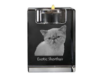 Artdog Eksotična kratkodlaka - svečnik s sliko konja, kristalno stojalo za čajne svečke, personalizirano darilo Art-Dog