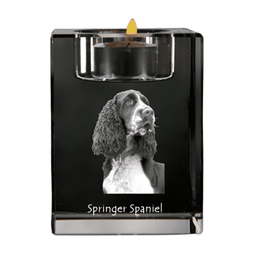 Artdog Angleški špringer španjel - svečnik s fotografijo psa, kristalno stojalo za čajne svečke, personalizirano darilo Art-Dog