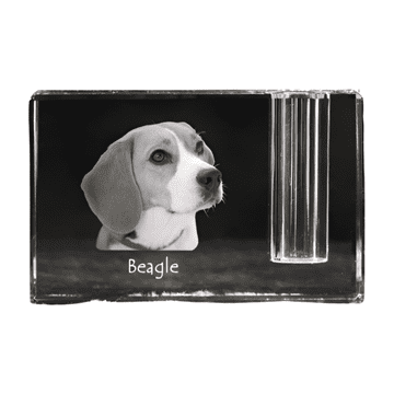 Artdog Beagle - stojalo za pisala, kristalni organizator s fotografijo psa, unikatna namizna dekoracija Art-Dog