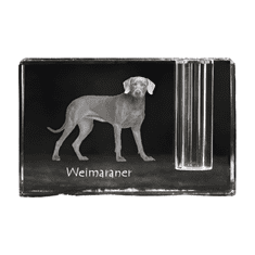 Artdog Weimaraner, Weimaraner - stojalo za pisala, kristalni organizator s fotografijo psa, unikatna namizna dekoracija Art-Dog