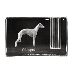 Artdog Whippet, angleški hrt - stojalo za pisala, kristalni organizator s fotografijo psa, unikatna namizna dekoracija Art-Dog
