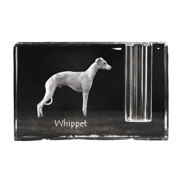 Artdog Whippet, angleški hrt - stojalo za pisala, kristalni organizator s fotografijo psa, unikatna namizna dekoracija Art-Dog