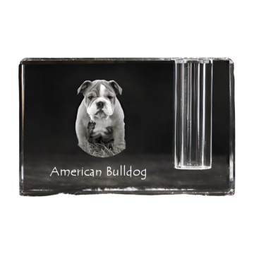 Artdog Ameriški buldog - stojalo za pisala, kristalni organizator s fotografijo psa, unikatna namizna dekoracija Art-Dog