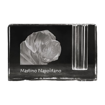 Artdog Neapeljski mastif, Neapeljski mastif, Mastino napoletano - stojalo za pisala, kristalni organizator s fotografijo psa, unikatna namizna dekoracija Art-Dog