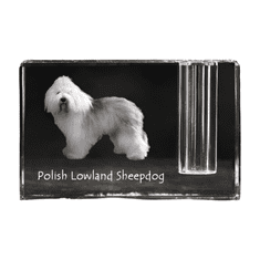 Artdog Poljski nižinski ovčar, PON - stojalo za pisala, kristalni organizator s fotografijo psa, unikatna namizna dekoracija Art-Dog