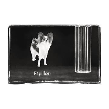 Artdog Papillon, kontinentalni španjel - stojalo za pisala, kristalni organizator s fotografijo psa, unikatna namizna dekoracija Art-Dog
