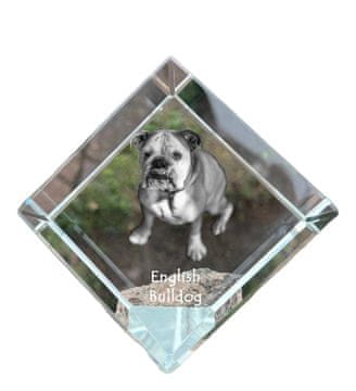 Artdog Angleški buldog, Bulldog - kristalna kocka s fotografijo, fotografija konja v kristalu, kubični obtežilnik za papir Art-Dog