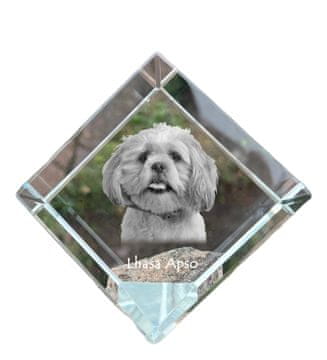 Artdog Lhasa Apso - kristalna kocka s fotografijo, fotografija konja v kristalu, kubični obtežilnik za papir Art-Dog
