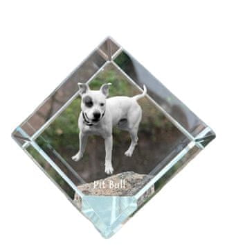 Artdog Ameriški pit bull terier, pit bull, ameriški pit bul terier, pitbull, APBT - kristalna kocka s fotografijo, fotografija konja v kristalu, kubični obtežilnik za papir Art-Dog