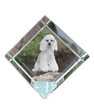 Artdog Pudelj - kristalna kocka s fotografijo, fotografija konja v kristalu, kubični obtežilnik za papir Art-Dog