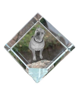 Artdog Shar Pei - kristalna kocka s fotografijo, fotografija konja v kristalu, kubični obtežilnik za papir Art-Dog