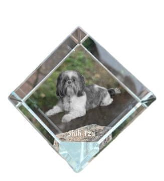 Artdog Shih Tzu, Shi tsu, Shi-Tzu, Szi-cu, Szitzu - kristalna kocka s fotografijo, fotografija konja v kristalu, kubični obtežilnik za papir Art-Dog