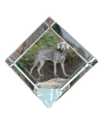 Artdog Weimaraner, Weimaraner - kristalna kocka s fotografijo, fotografija konja v kristalu, kubični obtežilnik za papir Art-Dog