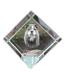 Artdog Ameriški buldog - kristalna kocka s fotografijo, fotografija konja v kristalu, kubični obtežilnik za papir Art-Dog
