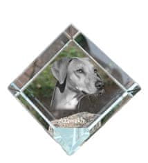 Artdog Afriški hrt, Azawakh - kristalna kocka s fotografijo, fotografija konja v kristalu, kubični obtežilnik za papir Art-Dog